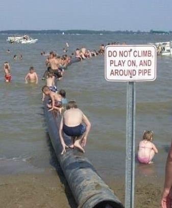 What are the best pictures ever that will automatically put a smile on your face if you see it?-第1张图片