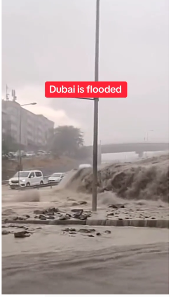 What are some surprising things you probably didn't know about Dubai?-第7张图片