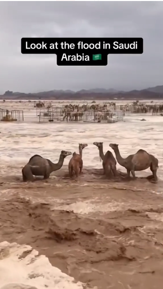 What are some surprising things you probably didn't know about Dubai?-第11张图片