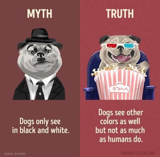 Can you share any interesting facts everyone should know?-第3张图片