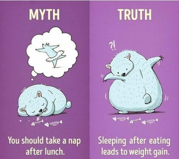 Can you share any interesting facts everyone should know?-第5张图片