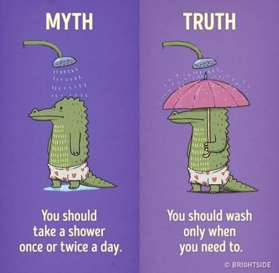 Can you share any interesting facts everyone should know?-第6张图片