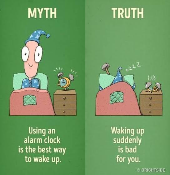 Can you share any interesting facts everyone should know?-第8张图片