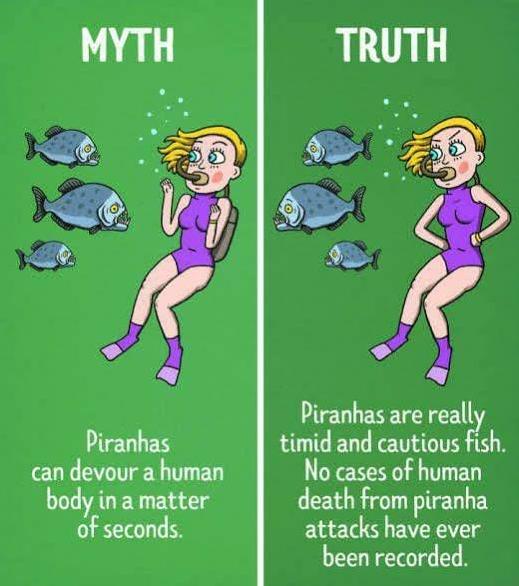 Can you share any interesting facts everyone should know?-第11张图片