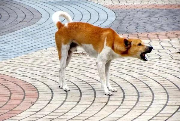 I learn/know right now in 10 minutes that will be useful for the rest of my life?-第1张图片