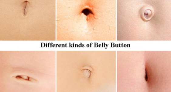 What are the things we (probably) didn't know about our belly button?-第1张图片